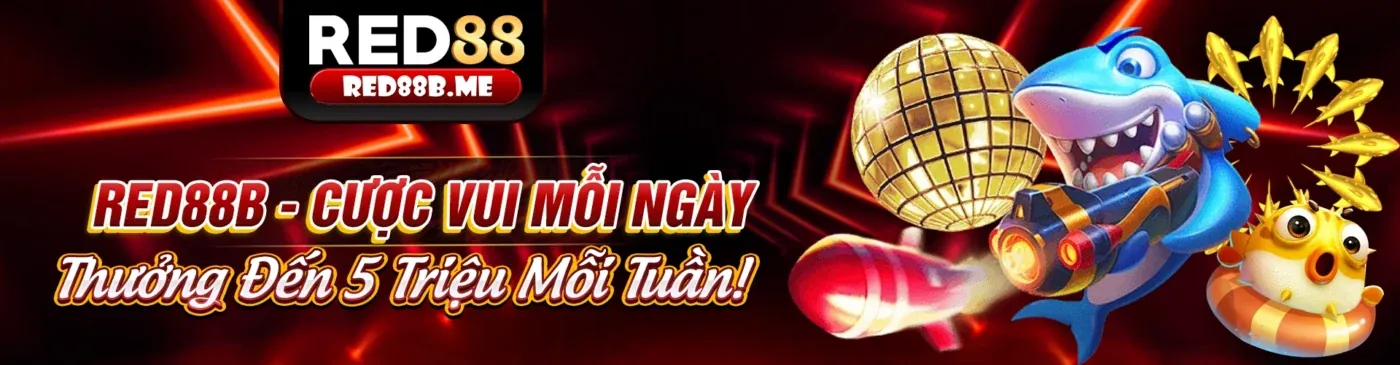 Hình ảnh tiêu đề tin tức 009bet win