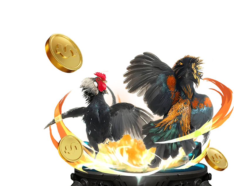 Quy trình xác minh tài khoản 009bet win